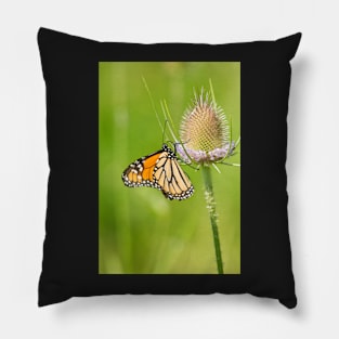 Royal Thistle Pillow