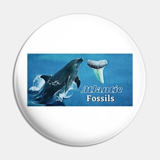Dolphin and Atlantic Fossils Shark Tooth Pin