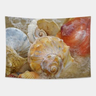 Seashells by the Seashore Tapestry