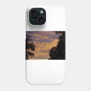 South Carolina Sunset Phone Case