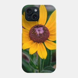 Rudbeckia Hirta, Yellow Flower Photograph Phone Case