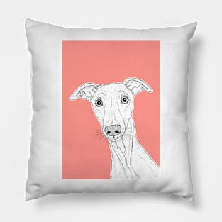 Whippet Dog Portrait ( coral background ) Pillow