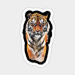 Rainforest Tigers Hidden Majesty Magnet