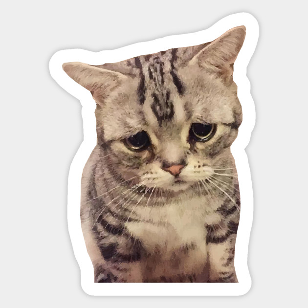 Sad Cute Cat Sad Cat Sticker Teepublic