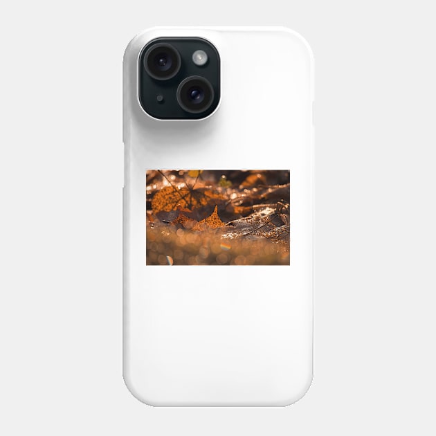 Autumn Bokeh Phone Case by cinema4design