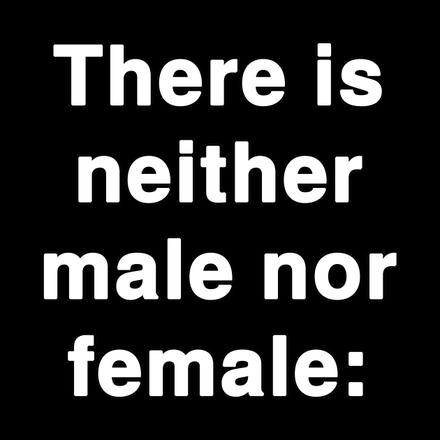 There is neither male nor female verse by Holy Bible Verses