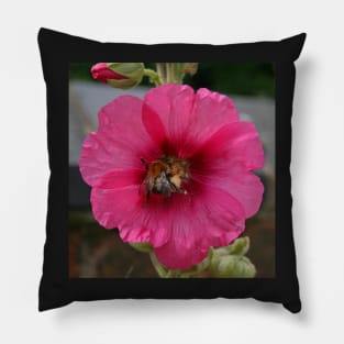 Collection Point Bee Pillow