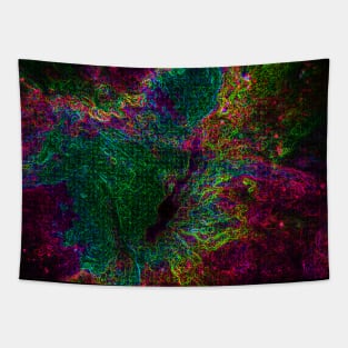 Black Panther Art - Glowing Edges 330 Tapestry