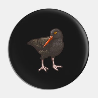 Black Oystercatcher Pin