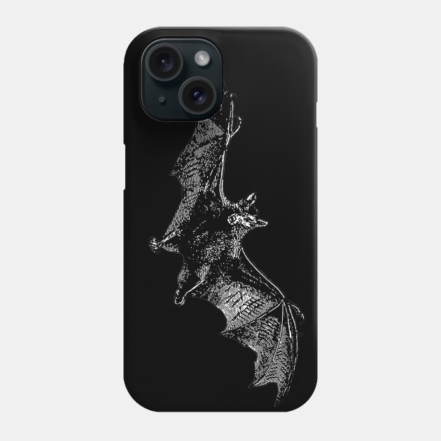 Vintage Bat Sketch Phone Case by Vintage Sketches