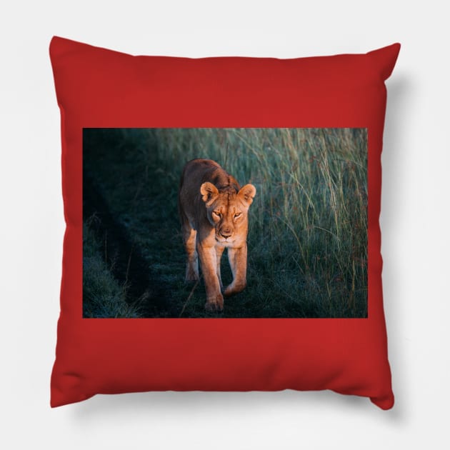 Wild life design Pillow by GenesisClothing