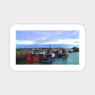 Pittenweem Fishing Boats Magnet