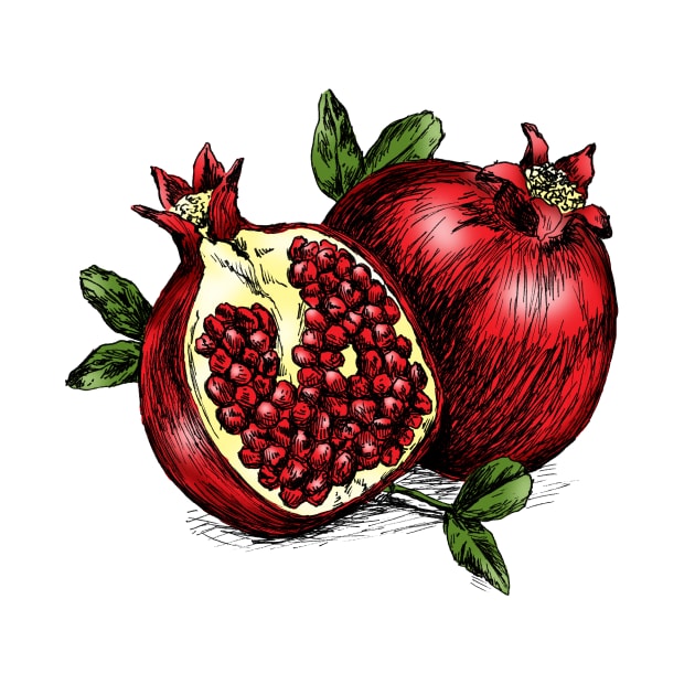 Pomegranate print by rachelsfinelines