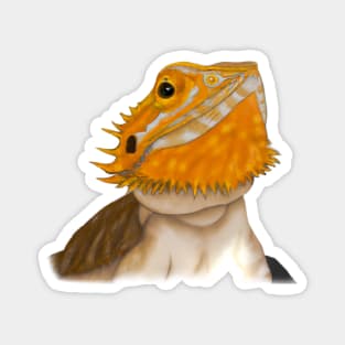 Cute Bearded Dragon Drawing Magnet