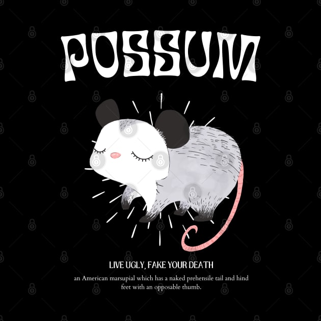 Possum by burlytx