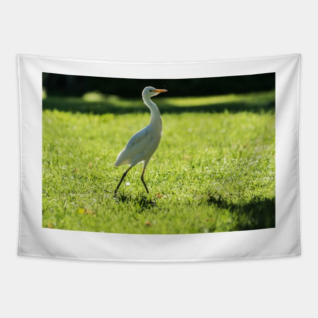 Cattle Egret: Tapestry by KensLensDesigns