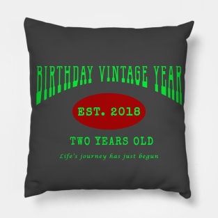 Birthday Vintage Year - Two Years Old Pillow