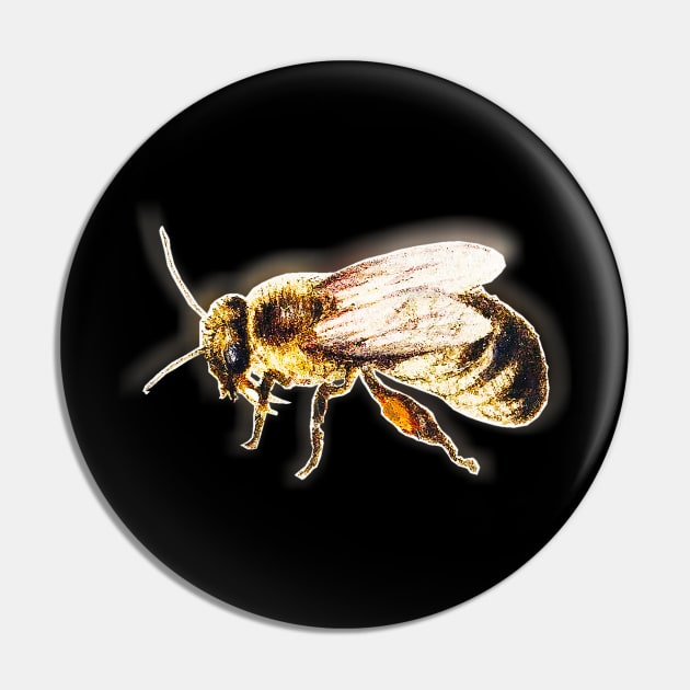 Bee Vintage colorful drawing bee Pin by Marccelus