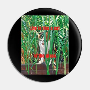 Life is like a cat in the grass Pin