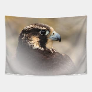 Vignetted Profile of a Peregrine Falcon Tapestry