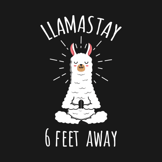 Llamastay 6 Feet Away Funny Llama Social Distancing Shirt by Kelley Clothing