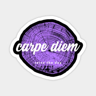 Latin Stoicism - Carpe Diem Magnet