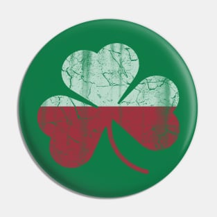 Polish Irish Flag Shamrock St Patricks Day Pin