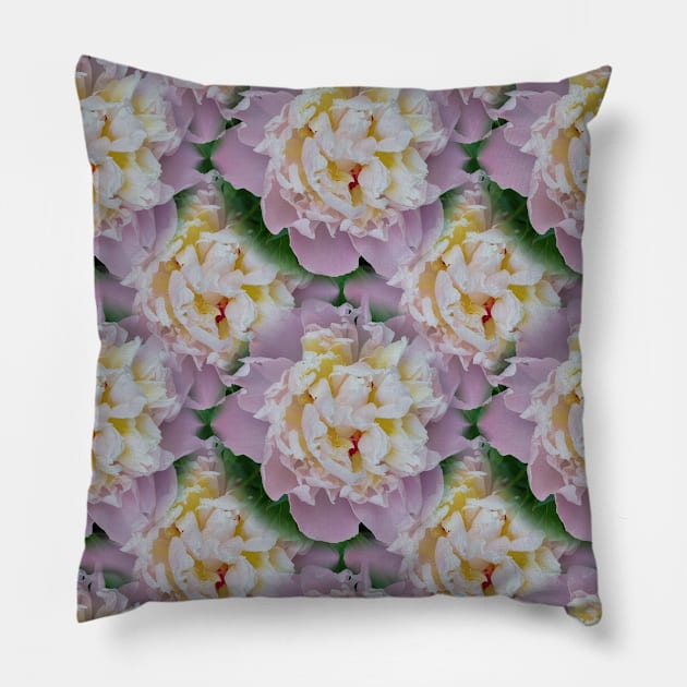 pattern from peony flowers Pillow by Hujer