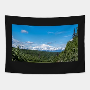 Clear Denali Panorama Tapestry