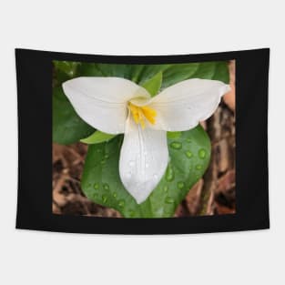 Tender Forest Spring Trillium Tapestry