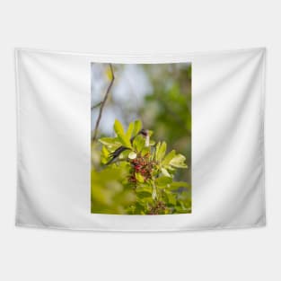 Yellow-rumped Warbler Tapestry