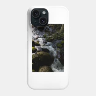 Taggerty Cascades #4 Phone Case