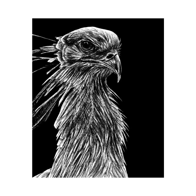 Secretary bird ink illustration by lorendowding