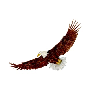 Flying eagle T-Shirt