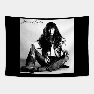 Juice Newton /// Vintage Tapestry