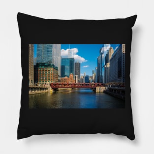 River Splendor Pillow