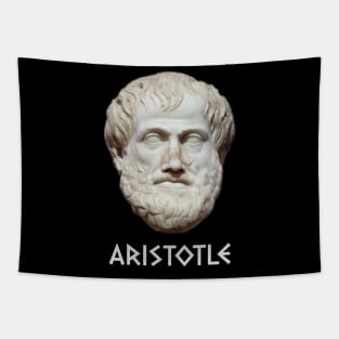 Aristotle - Philosophy Meme Tapestry