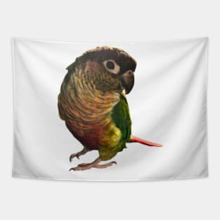 Green Cheek Conure Parrot Bird design, Love for birds Tapestry