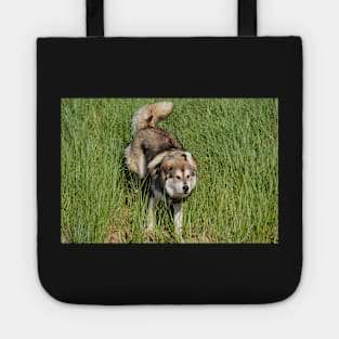 Freyja Tote