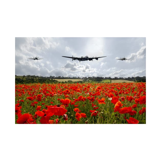 Poppy Flypast by aviationart