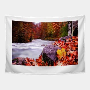 Autumn Flow Tapestry