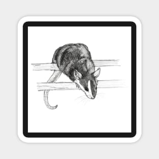 Mouse sketch greeting card by Nicole Janes Magnet