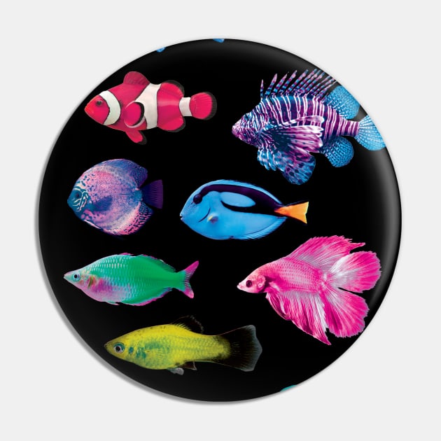Colorful Fish Pin by saif