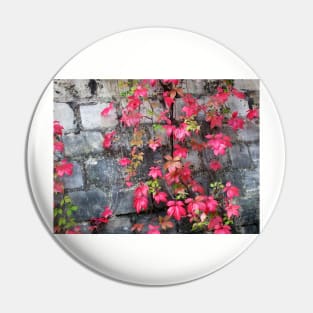 Paris Pere LaChaise Fall Leaves Pin