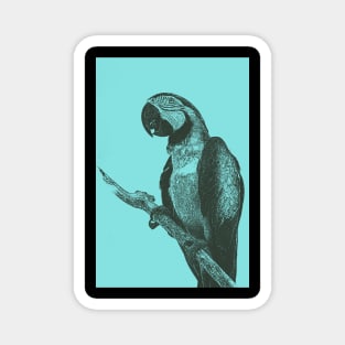 Macaw Bitmap Effect Magnet