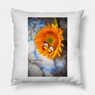 Colorful Butterfly On Sunflower Laying On Marble Pillow