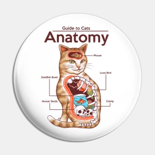 Anatomy of a Cat Pin