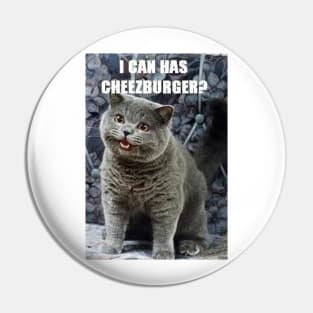 I Can Haz Cheezburger? Pin