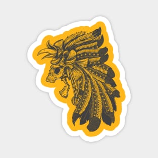 Skull Feathers Magnet