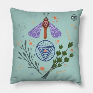 Witch's Brew Pillow